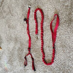 Cat Harness and Leash